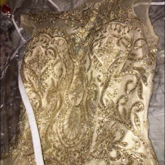 Quincenera Dress - Picture 4 of 8